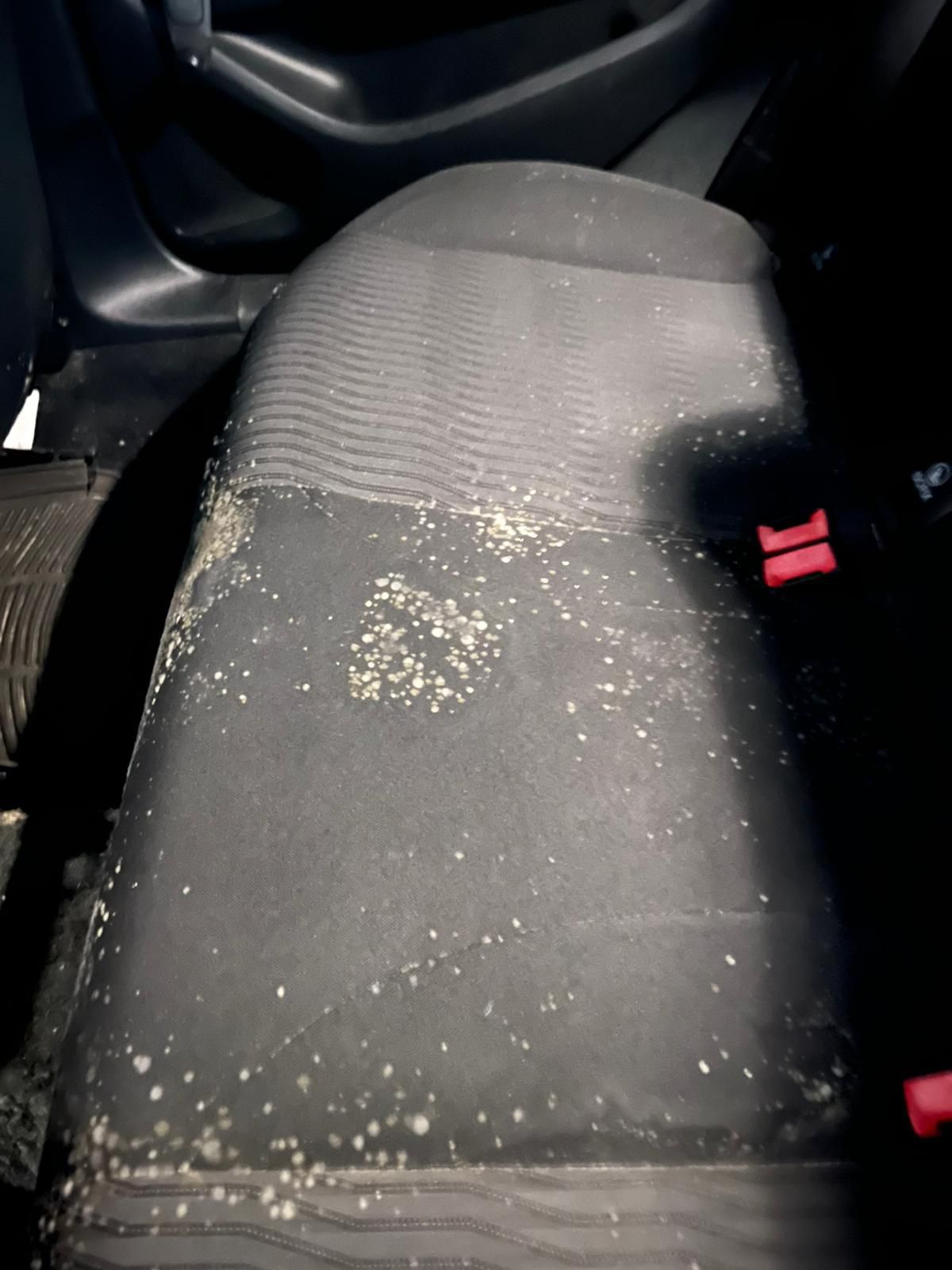 Banqueta trasera limpia después del tratamiento de interior