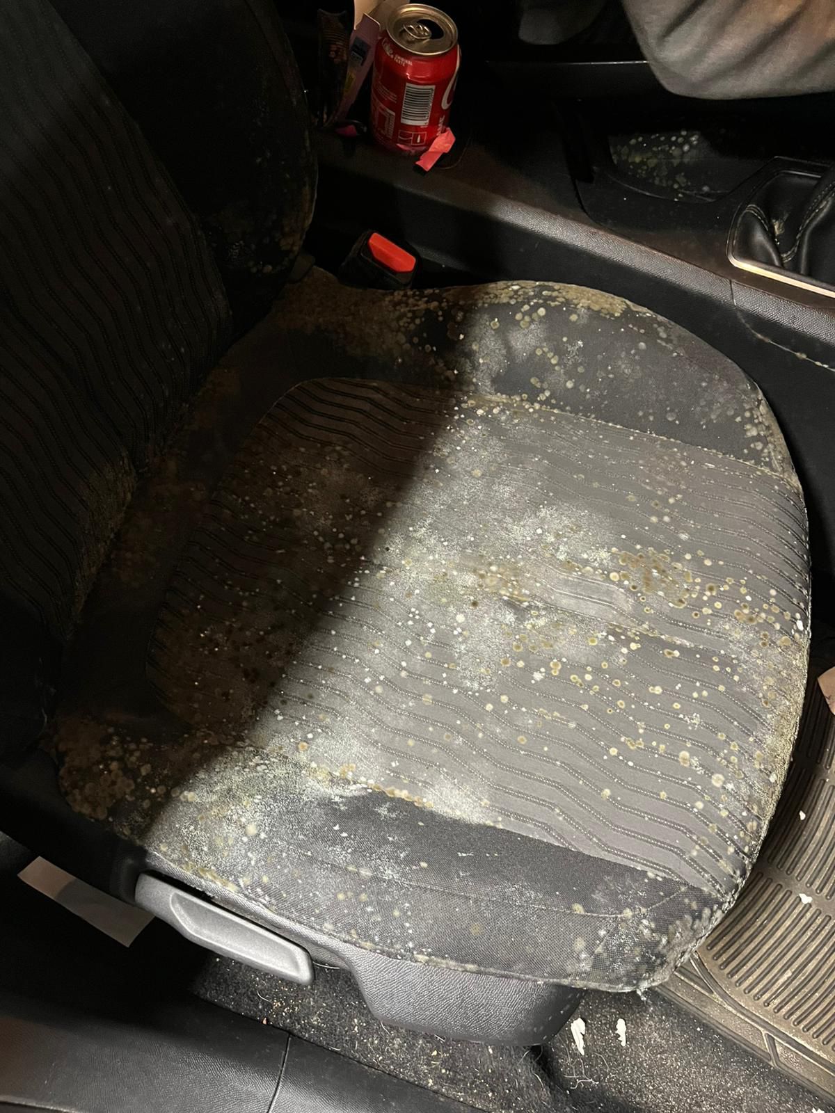 Asientos delanteros limpios después del tratamiento interior